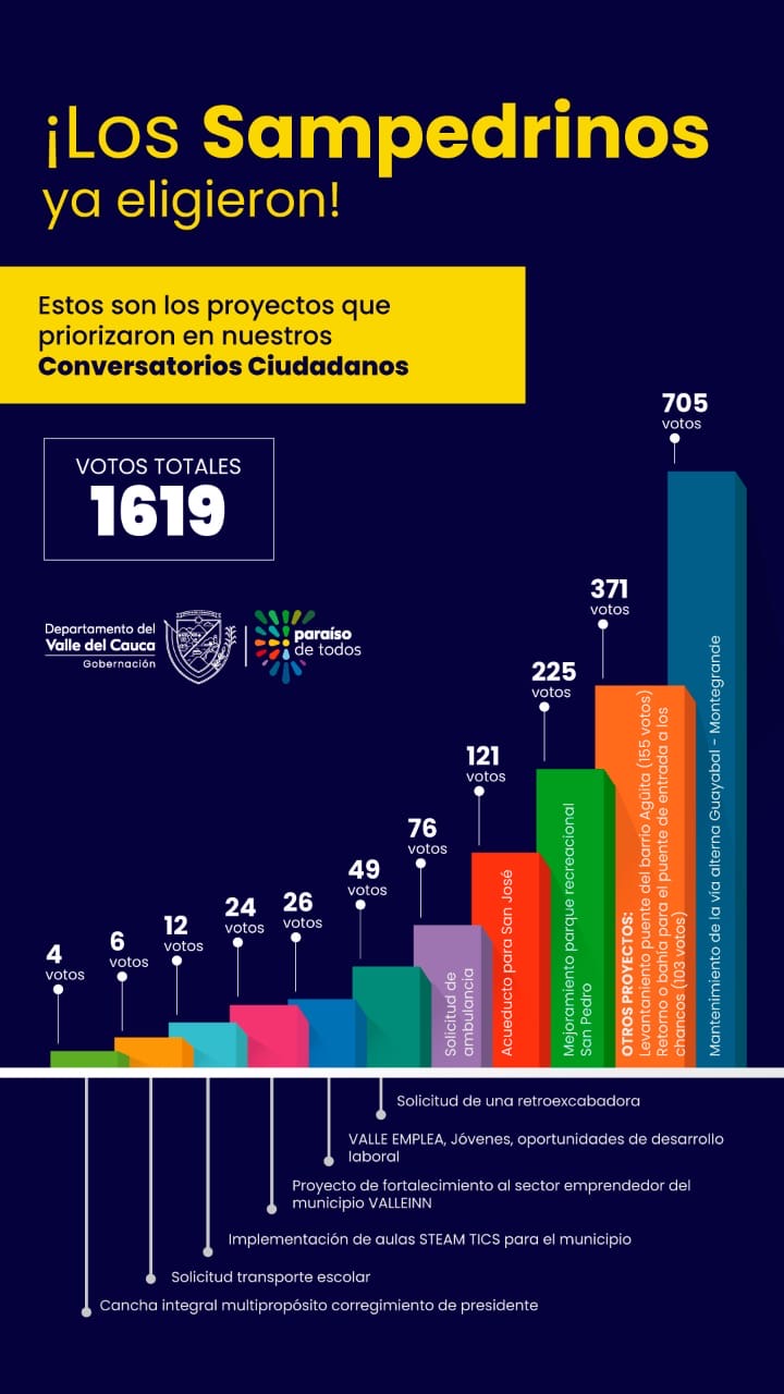 priorizacion-de-proyectos/resultado-de-la-priorizacion-de-proyectos-san-pedro